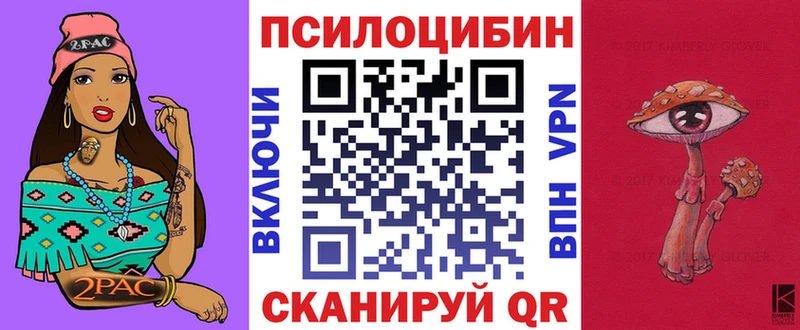 где купить   Котовск  Галлюциногенные грибы Cubensis 